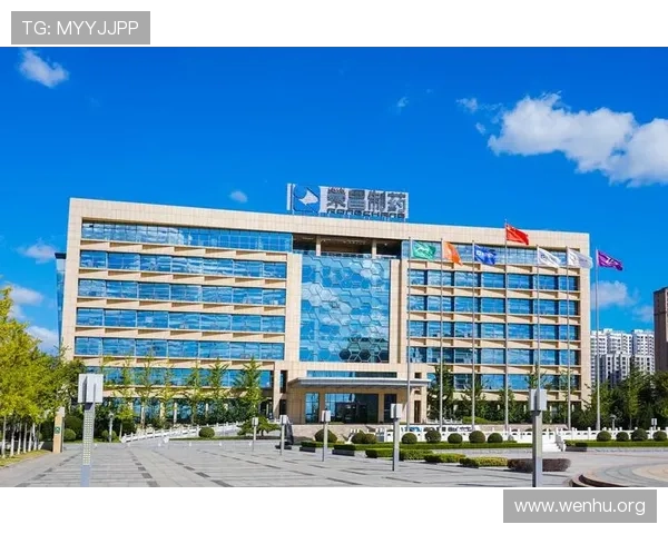 k8凯发(中国)天生赢家首页：平台的支付方式与资金安全保障措施介绍