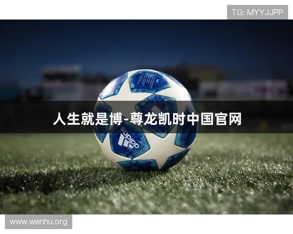 凯时人生就是赌：分析人生中的风险投资，如何在变幻莫测的环境中稳步前行